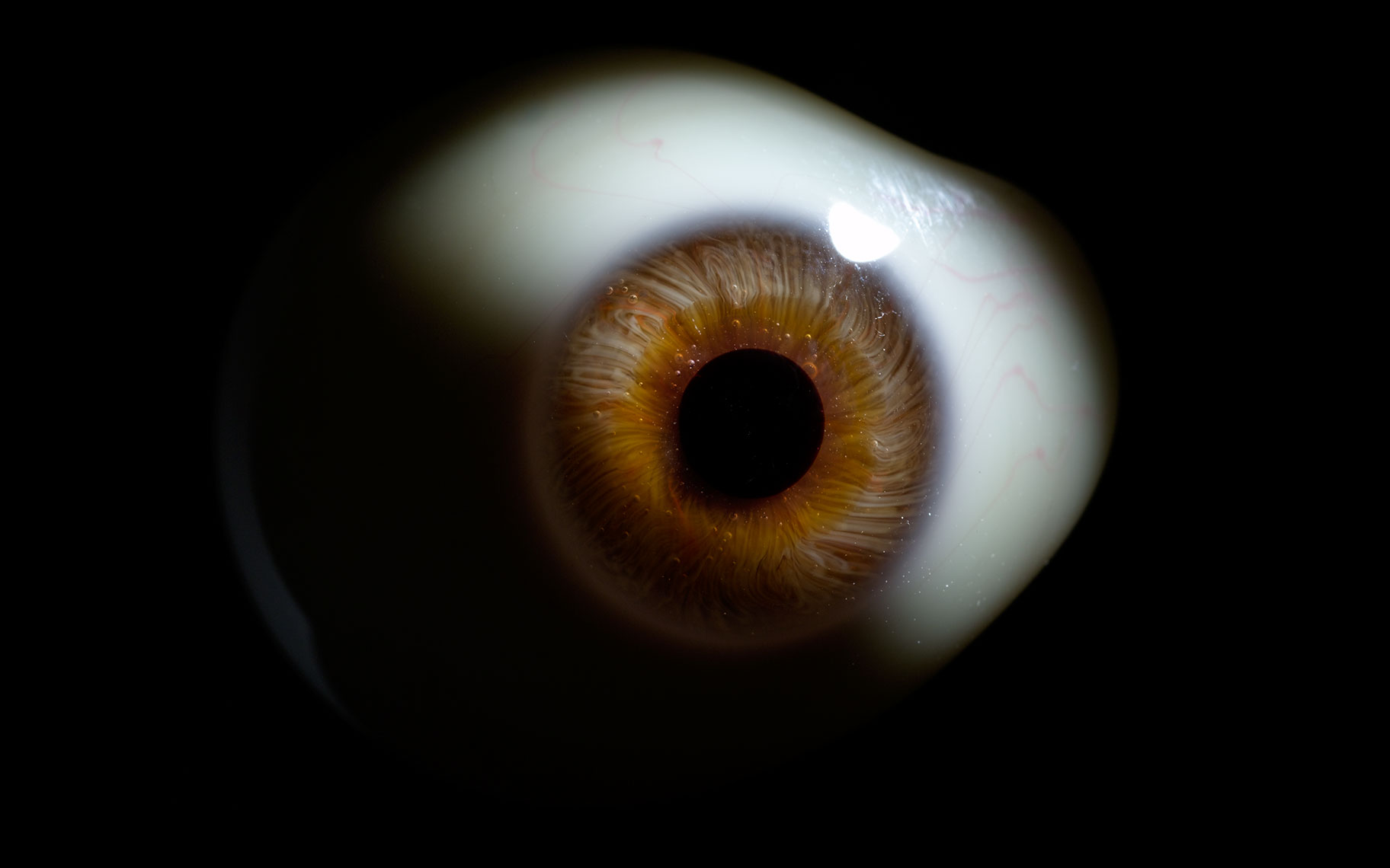Eyeball-DUP.jpg
